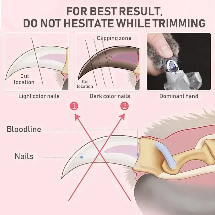 Pet Nail Clipper Scissors With LED Light Cat Dog Nail Clippers Tool Scissors Nail Toeclaw Cutter Scissors