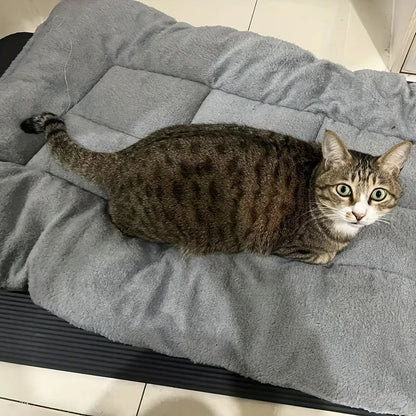 Extra-large Plush Dog Bed/sofa/cat Bed/dog House/cage Mat, Thick and Super Soft Polyester Pet Mat